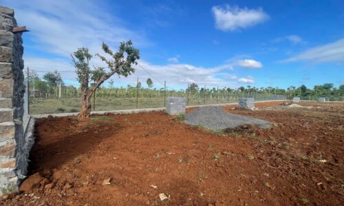 Bán Đất Thành Nhất (Khánh Xuân Cũ) 20m*70m 1 Tỉ 779 Triệu